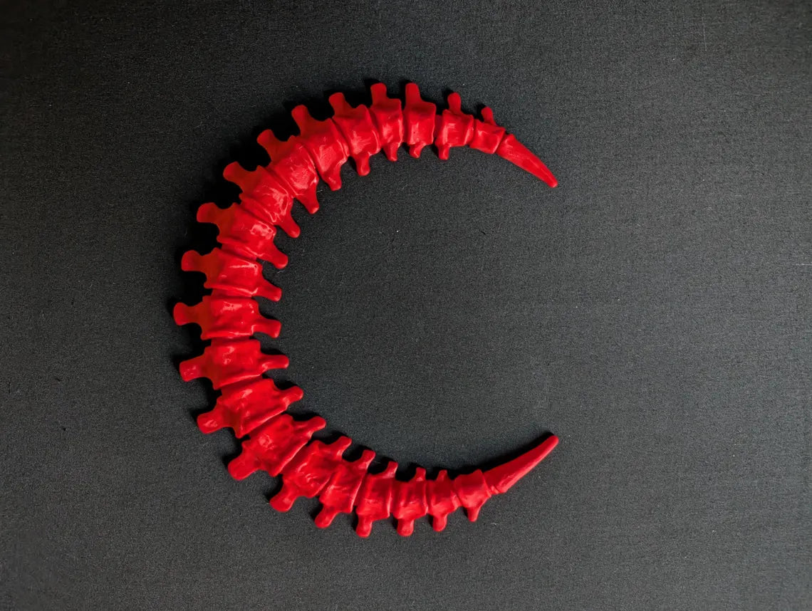 Pale vertebrae-shaped crescent Spinal Moon close-up
