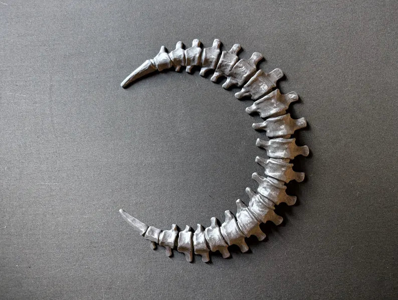 White Spinal Moon close-up on dark backdrop