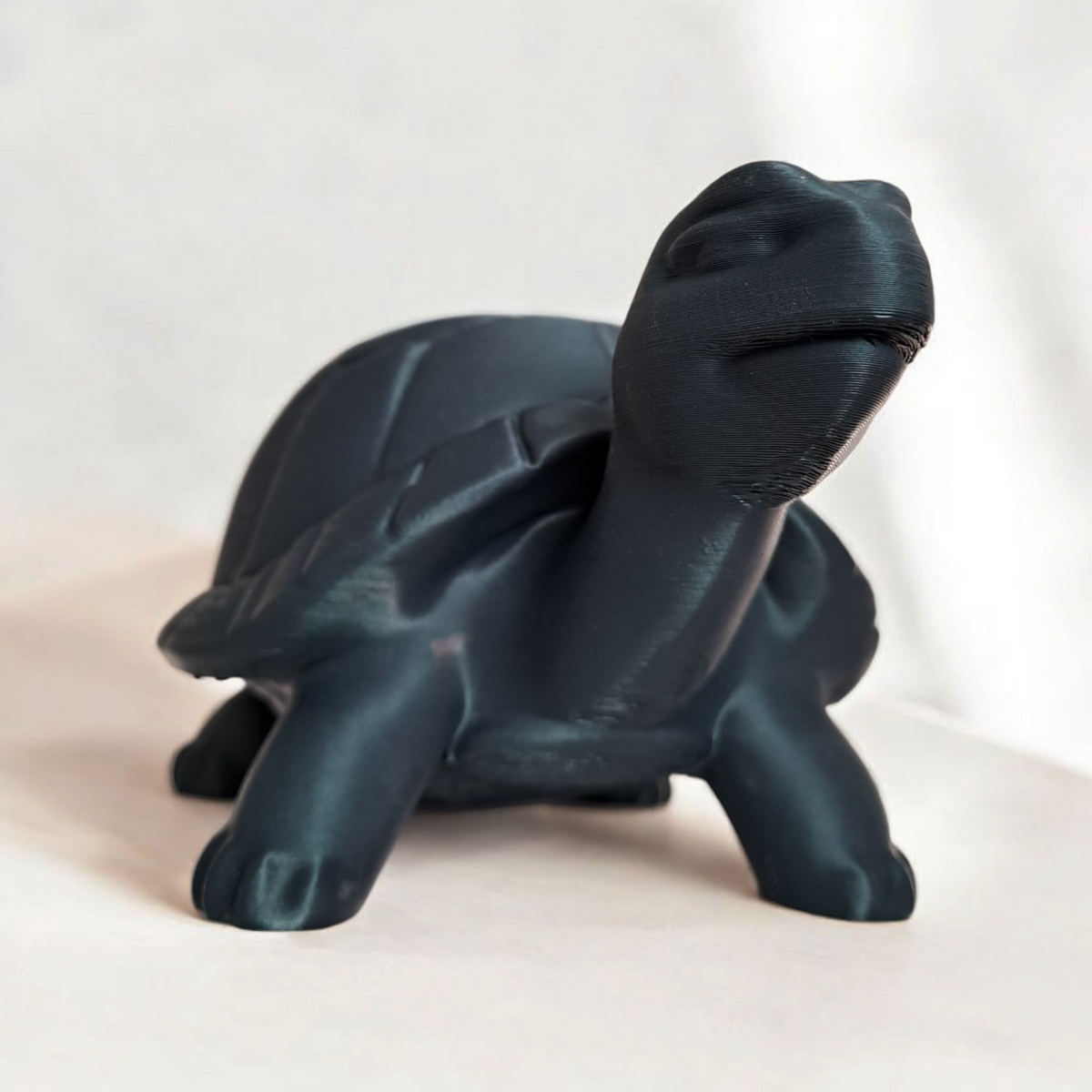 Little Turtle Plantpot