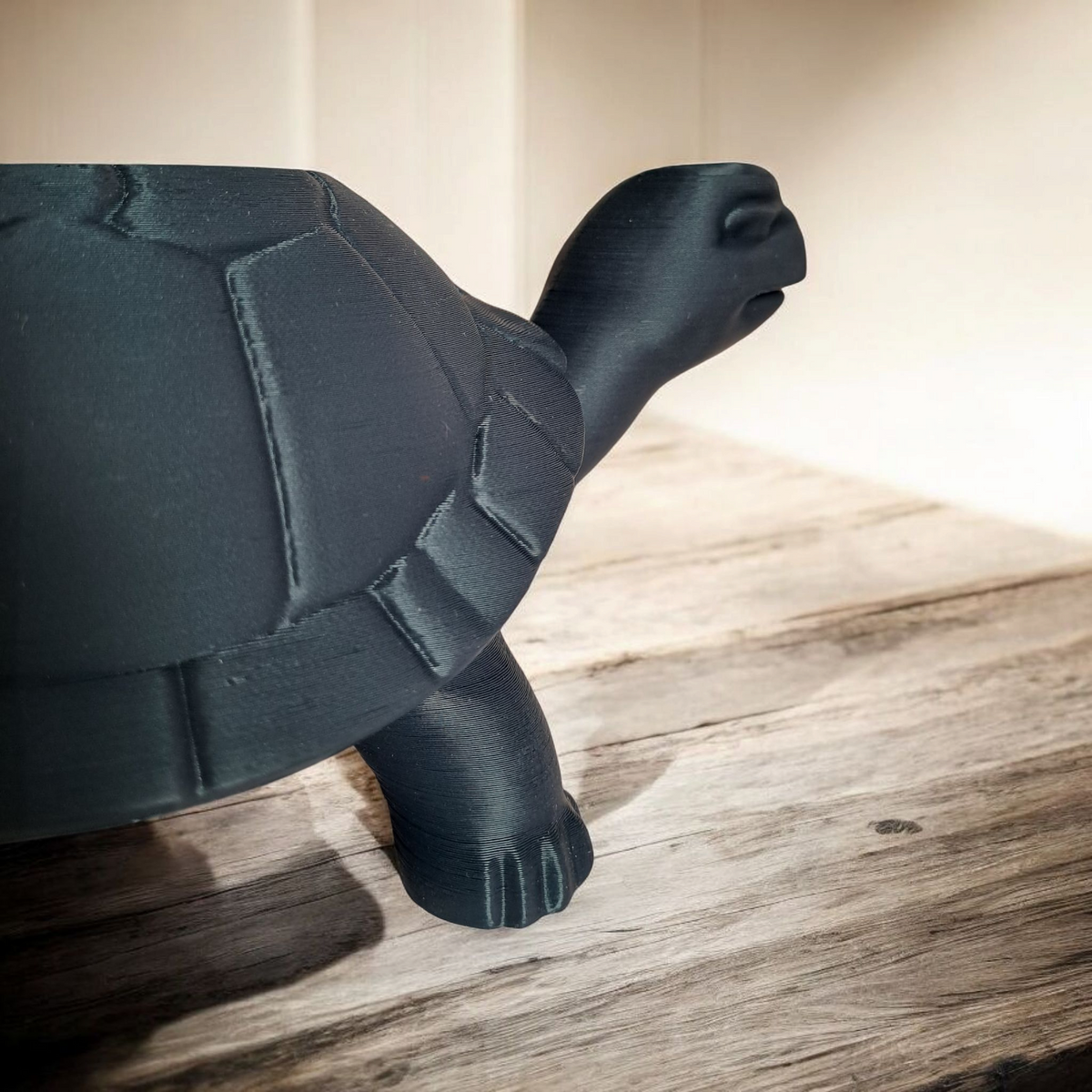 Little Turtle Plantpot