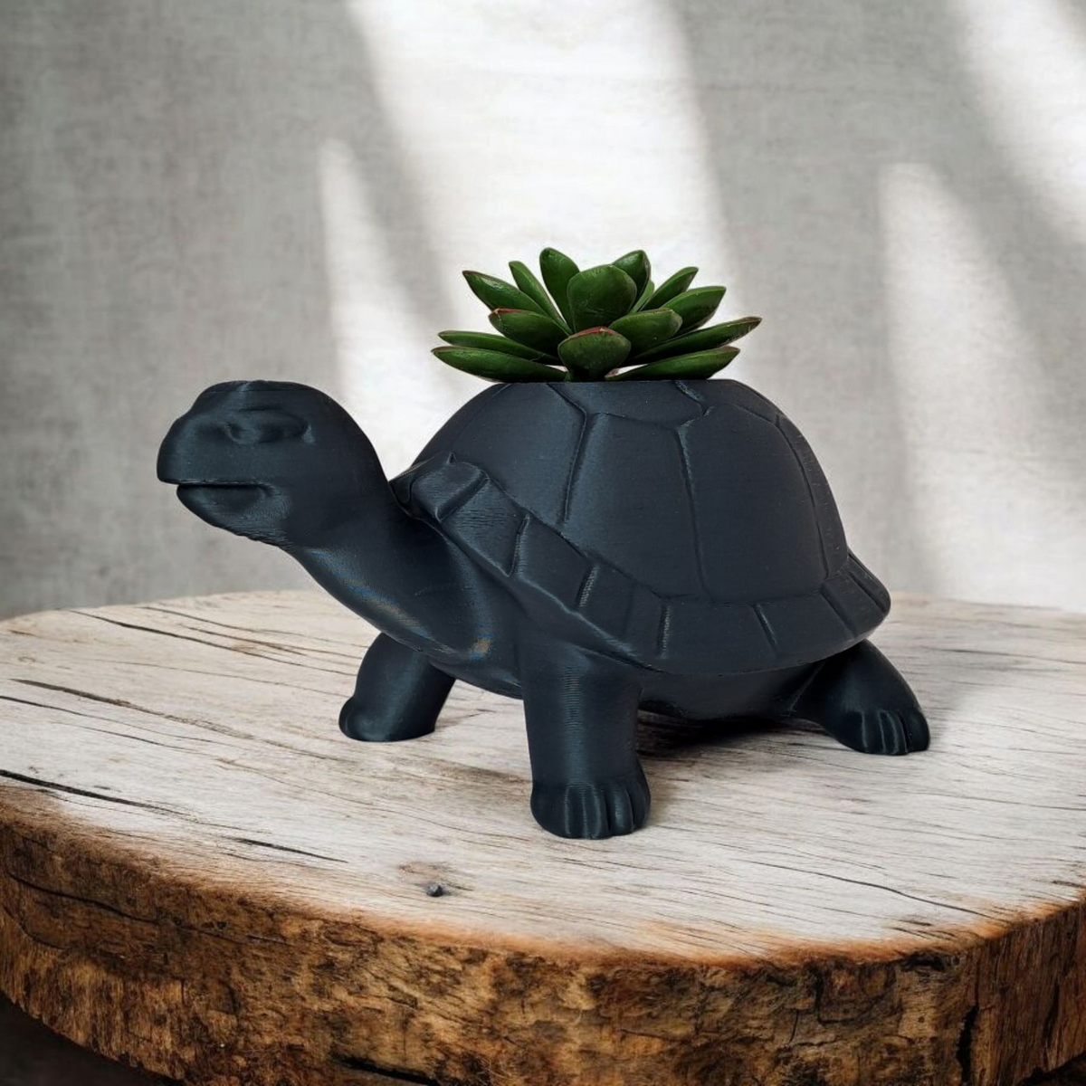 Little Turtle Plantpot