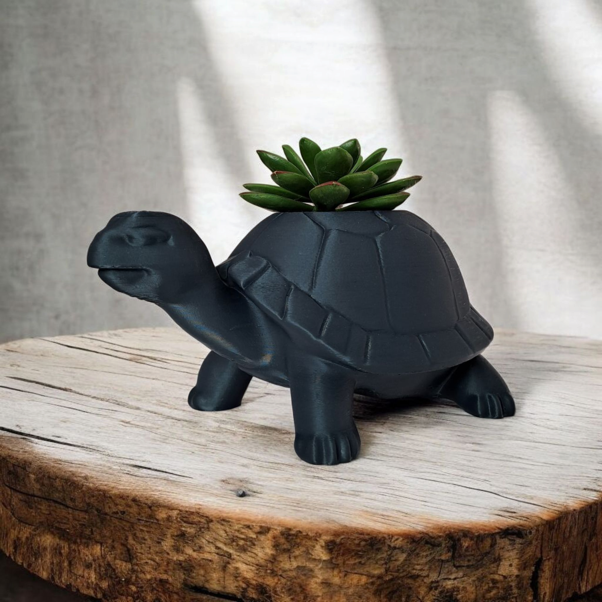 Little Turtle Plantpot