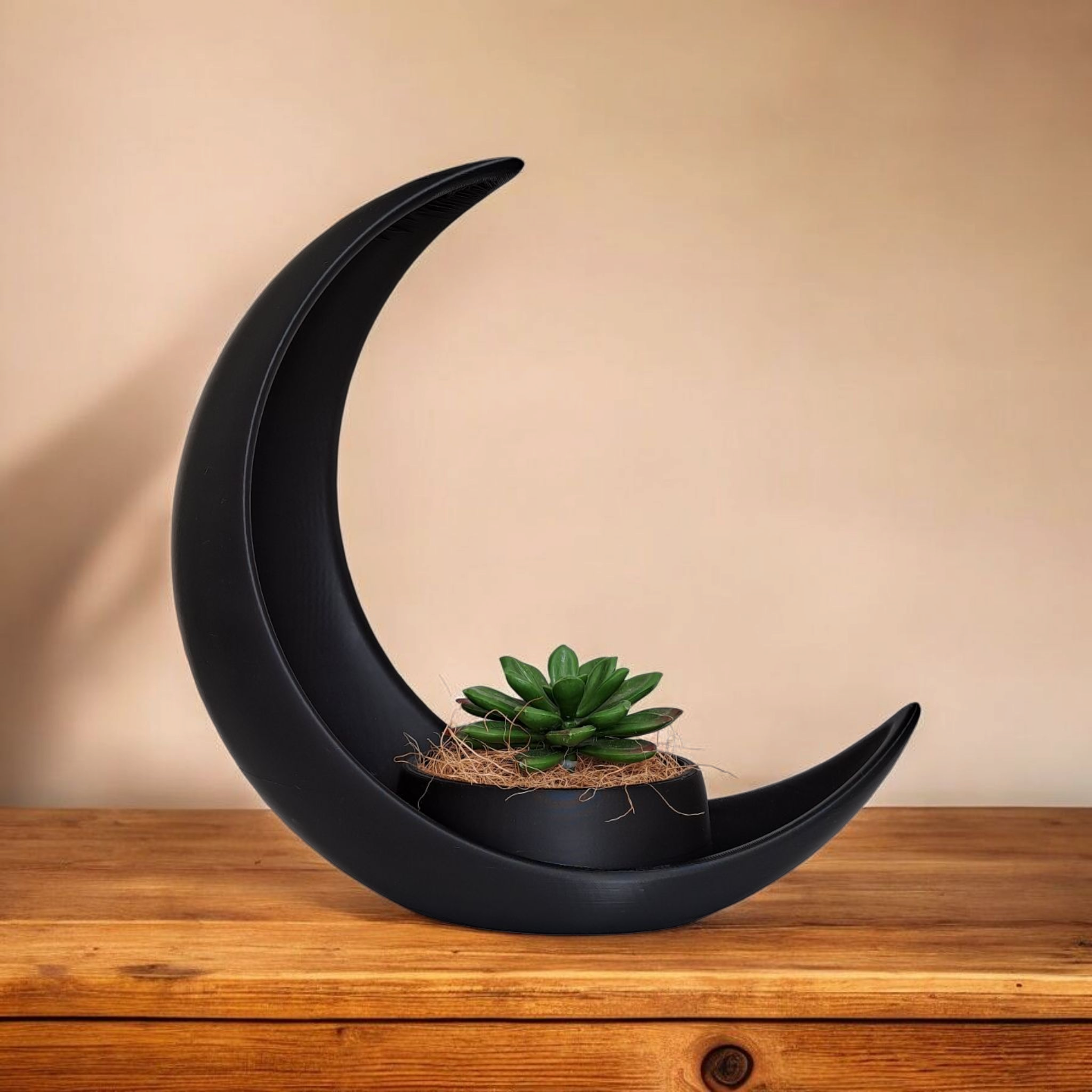 Moon Planter