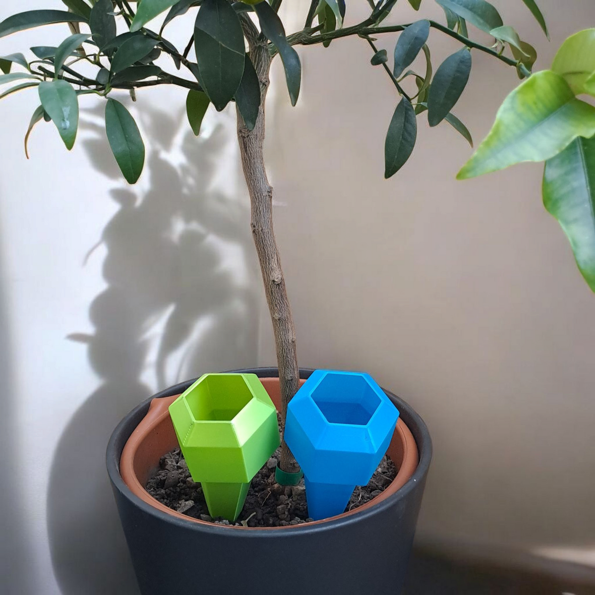 Hexagonal Plant Watering Spike