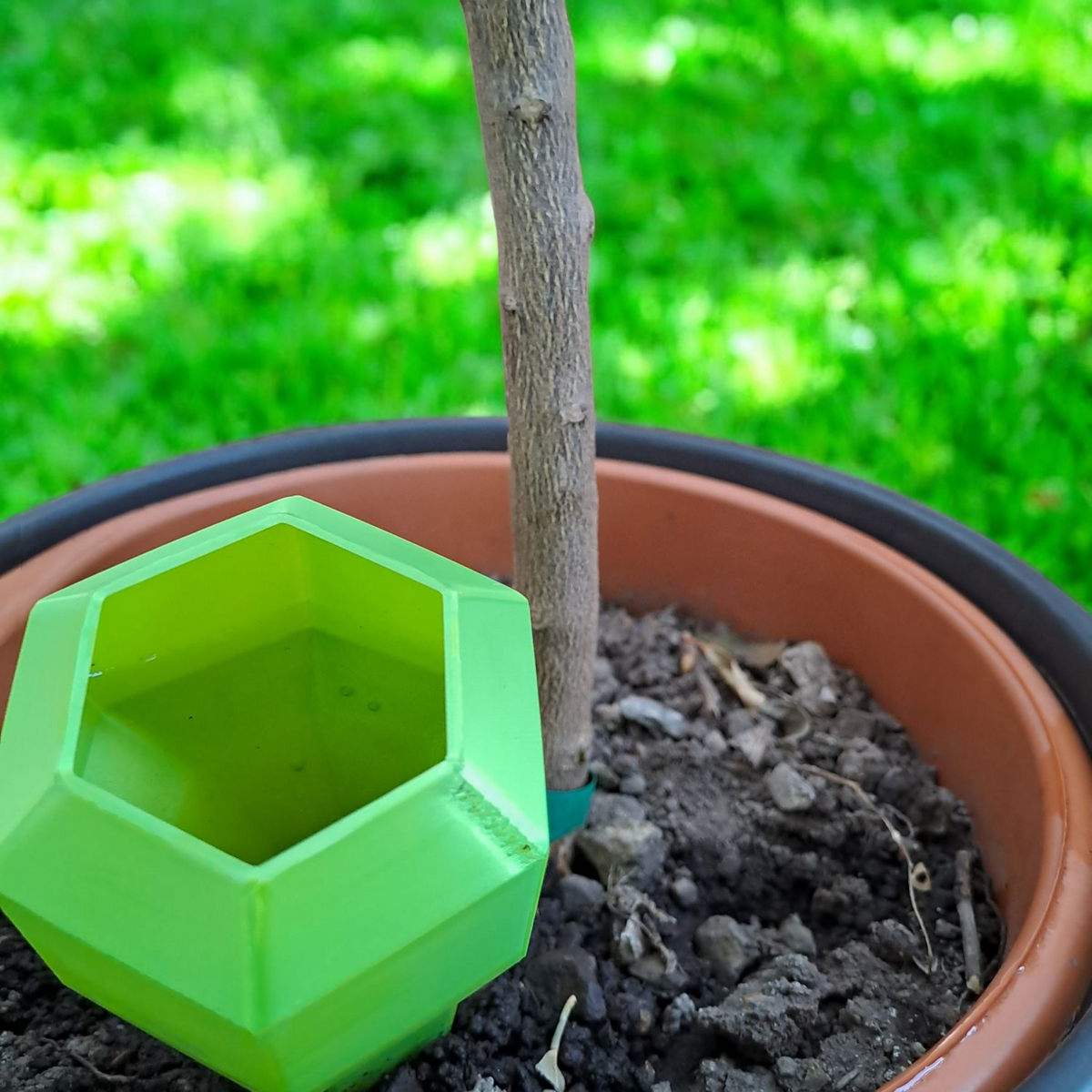 Hexagonal Plant Watering Spike