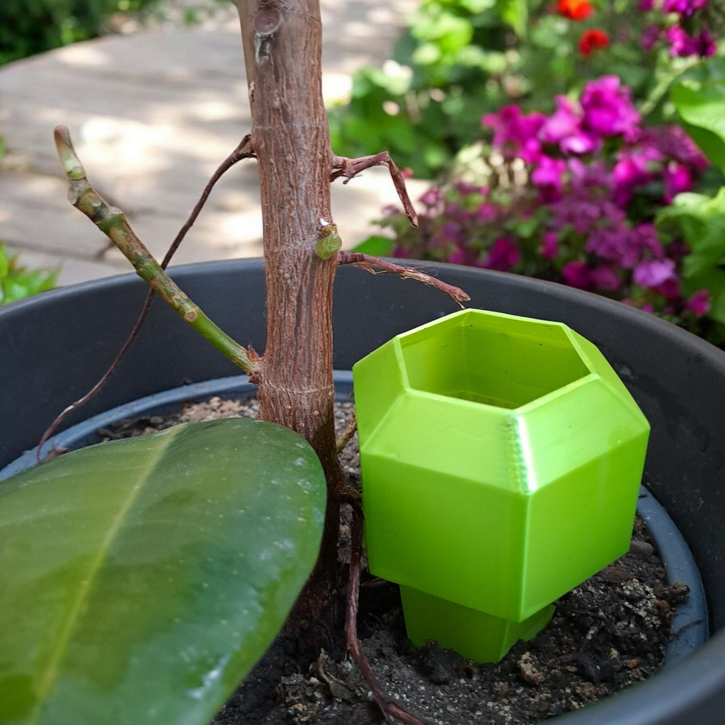 Hexagonal Plant Watering Spike.