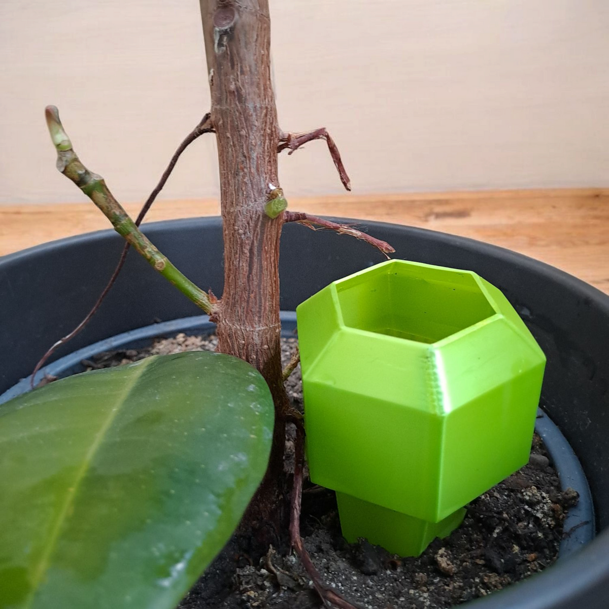 Hexagonal Plant Watering Spike