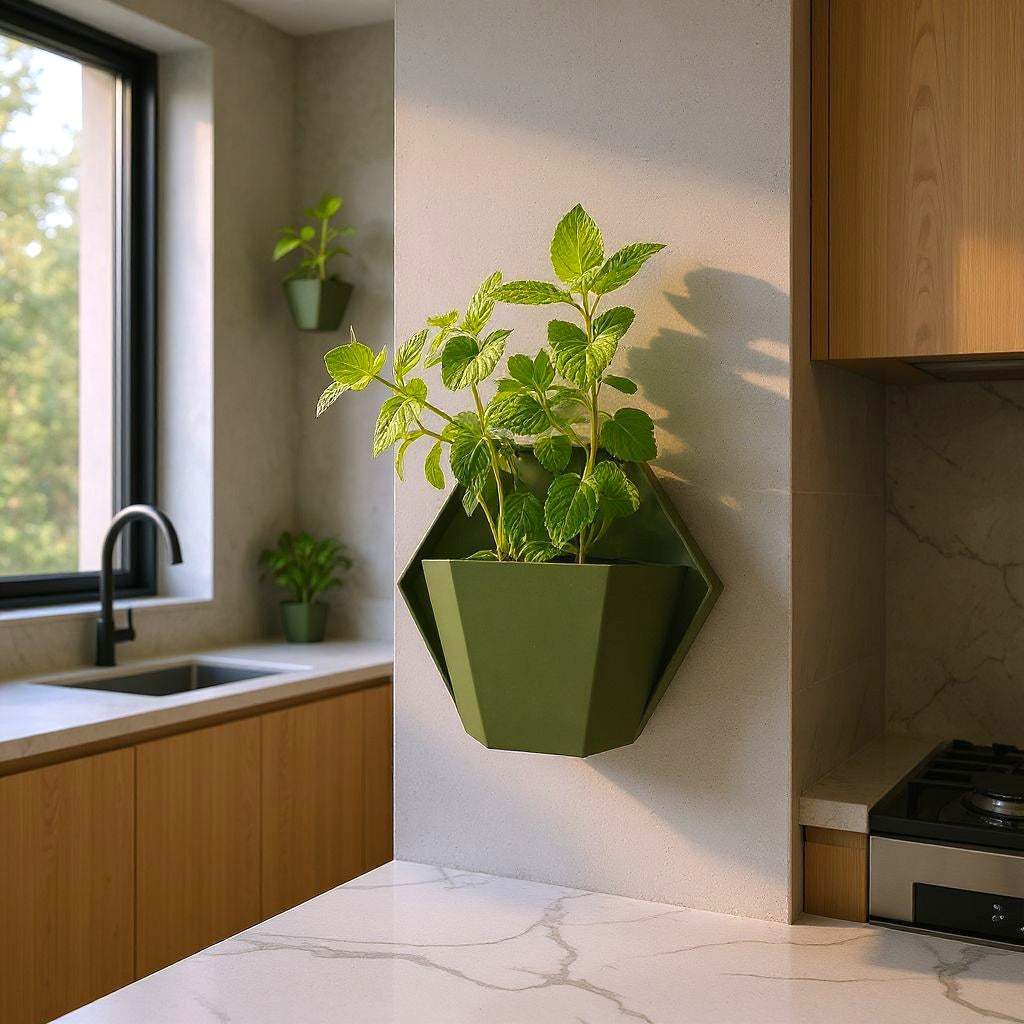 Geometric wall planter for herb gardens
