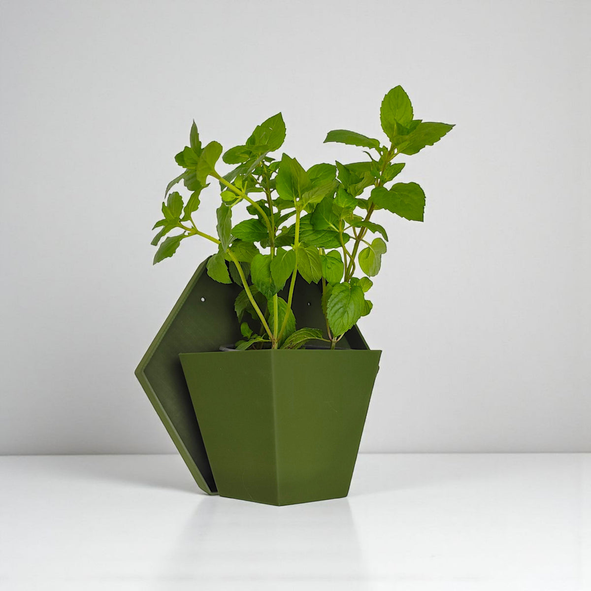 Geometric Wall Planter for Herb Gardens