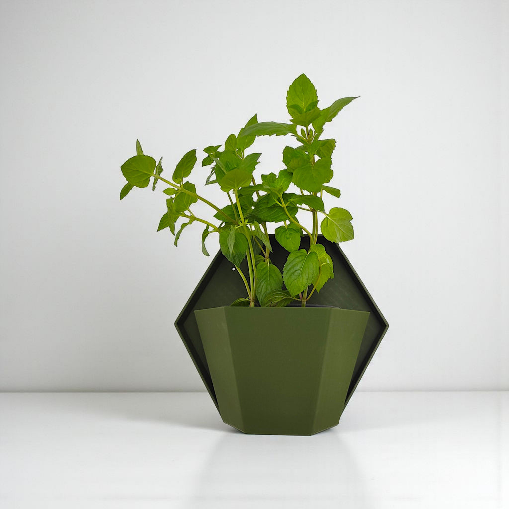 Geometric wall planter for herb gardens