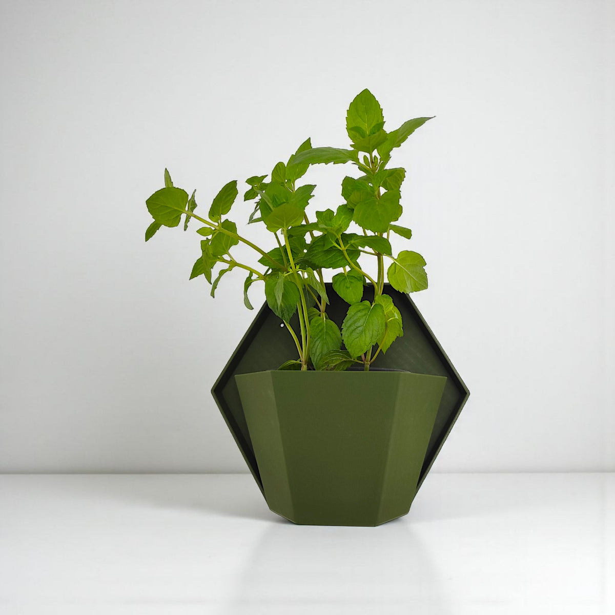 Geometric Wall Planter for Herb Gardens