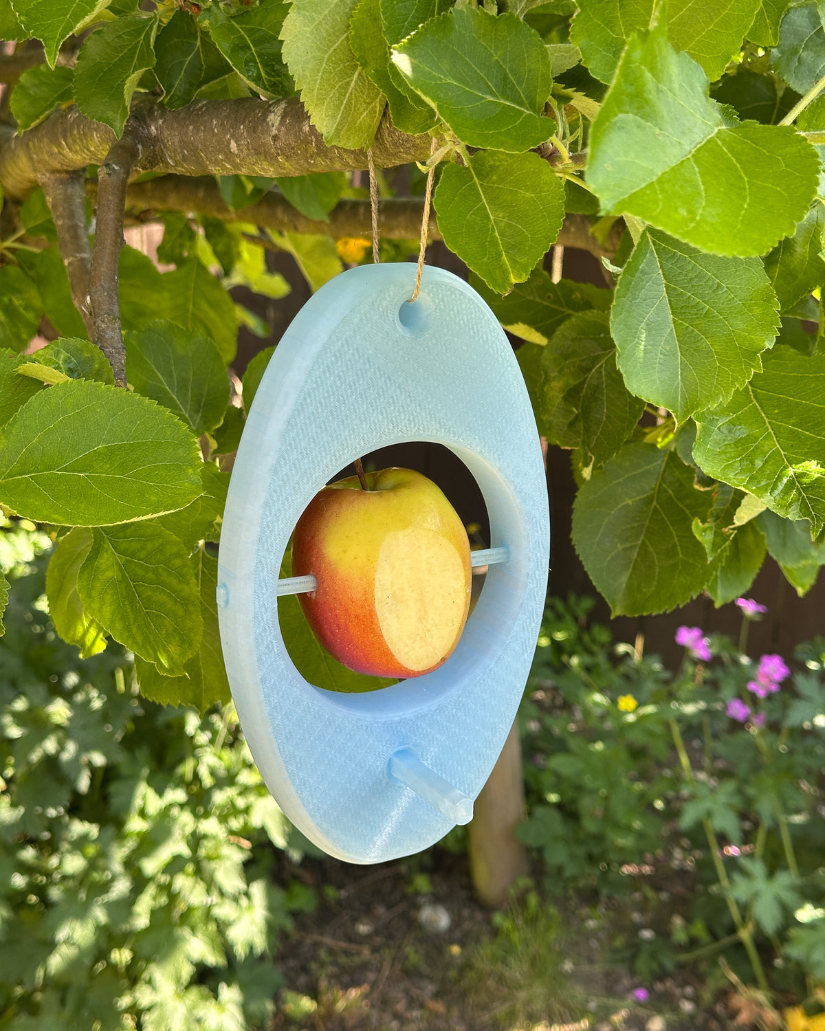 Minimalist Apple Bird Feeder - base render