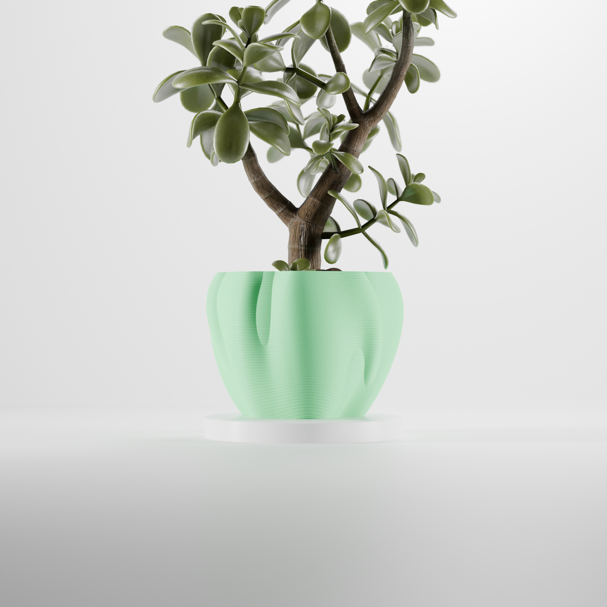 Sage green organic flowing planter render top down view showing open top and petal lobes