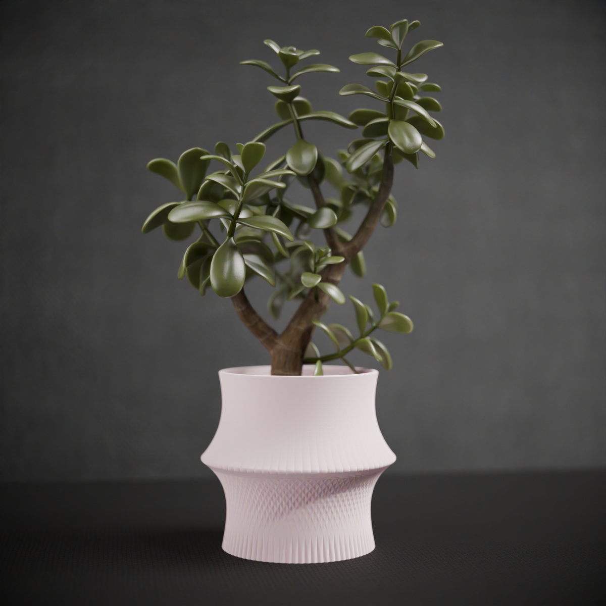 Sculpted Geometric Desk Planter blush pink with jade tree on warm wooden surface lamp glow living room lifestyle