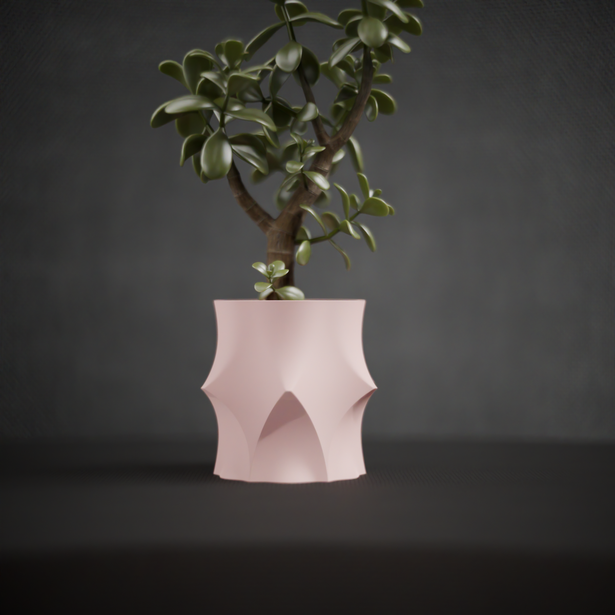 Modern Geometric Planter blush pink with jade plant on walnut sideboard moody ambient dark blue wall lifestyle