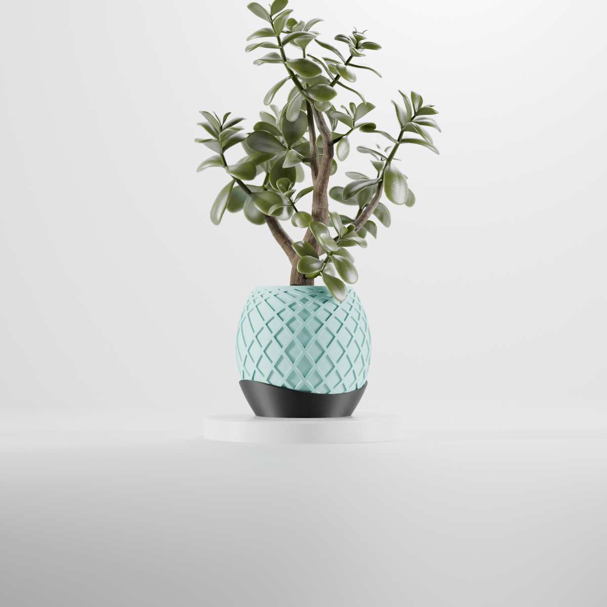 Render lifestyle 2