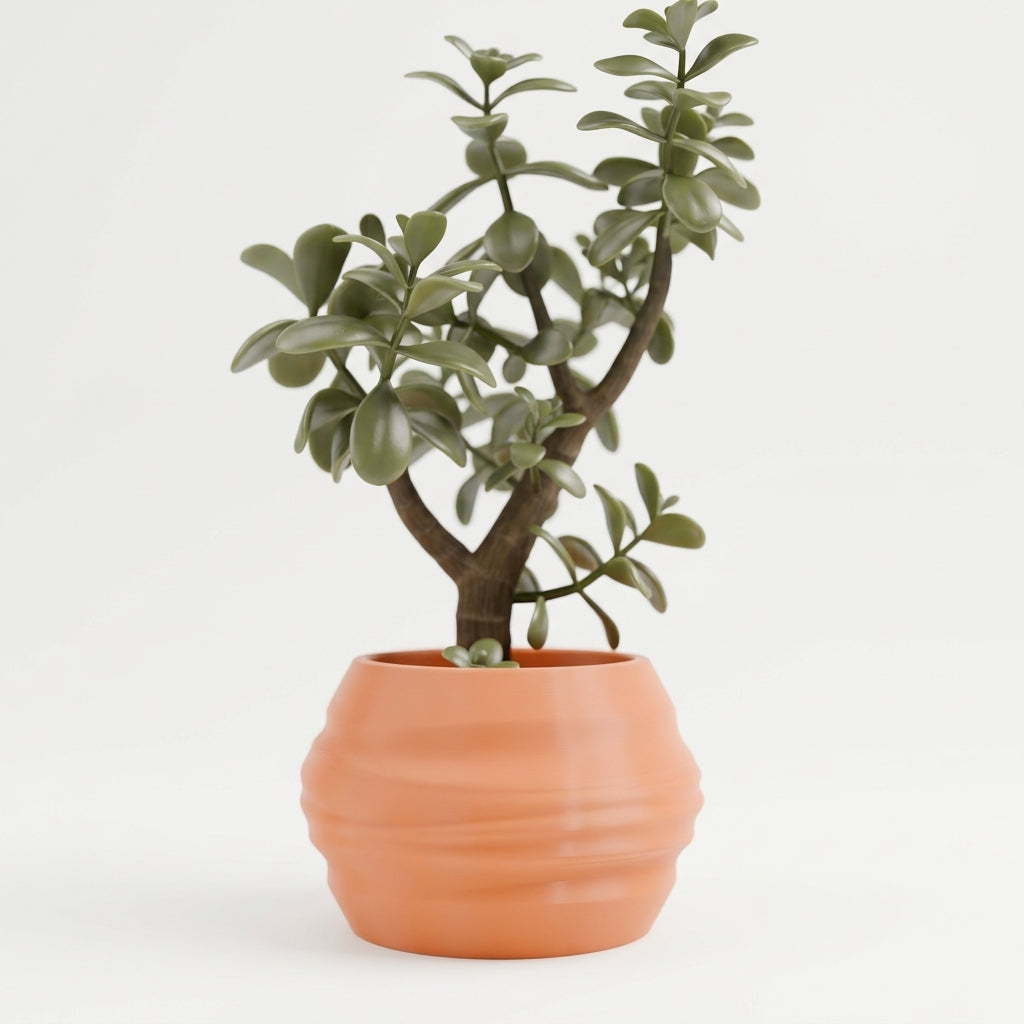 Organic Wave Planter terracotta with jade plant on white background with geometric props