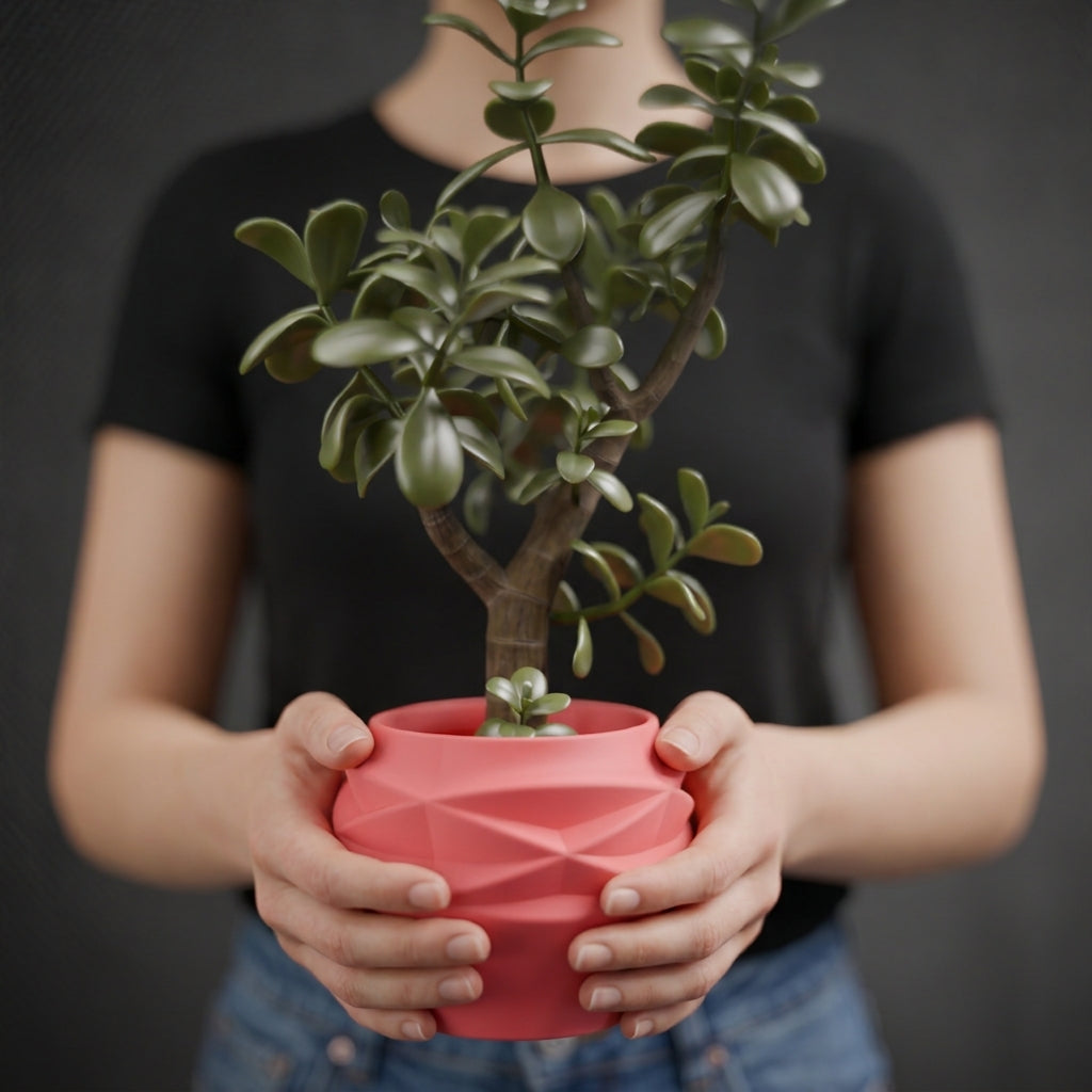 Diamond Faceted Two-Part Planter coral pink with jade tree Mediterranean olive branch warm light lifestyle