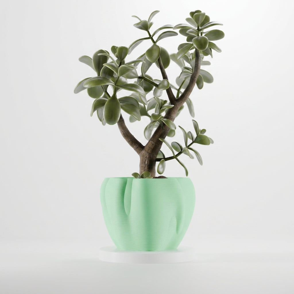 Sage green organic flowing planter with jade tree on dark slate plinth moody interior lifestyle