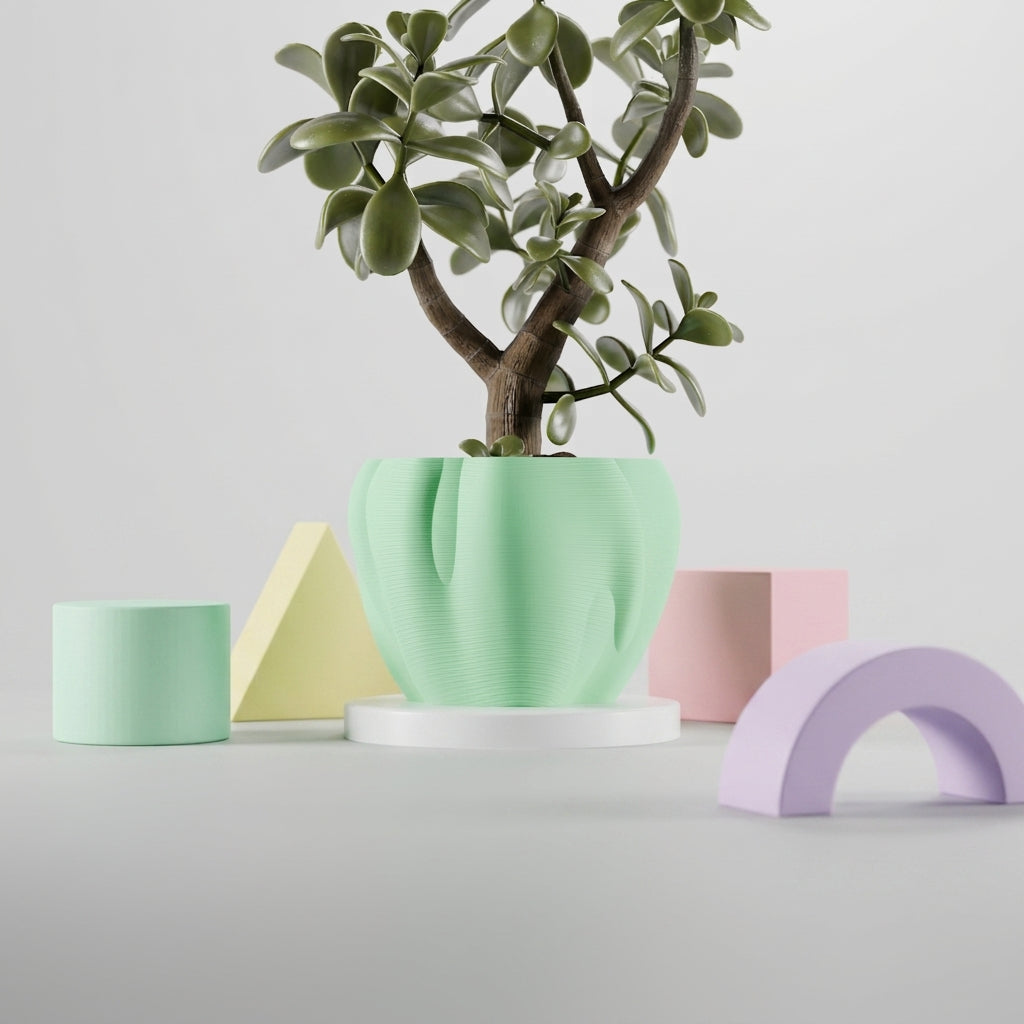 Sage green organic flowing planter with jade tree on terracotta tiles golden Mediterranean sunlight