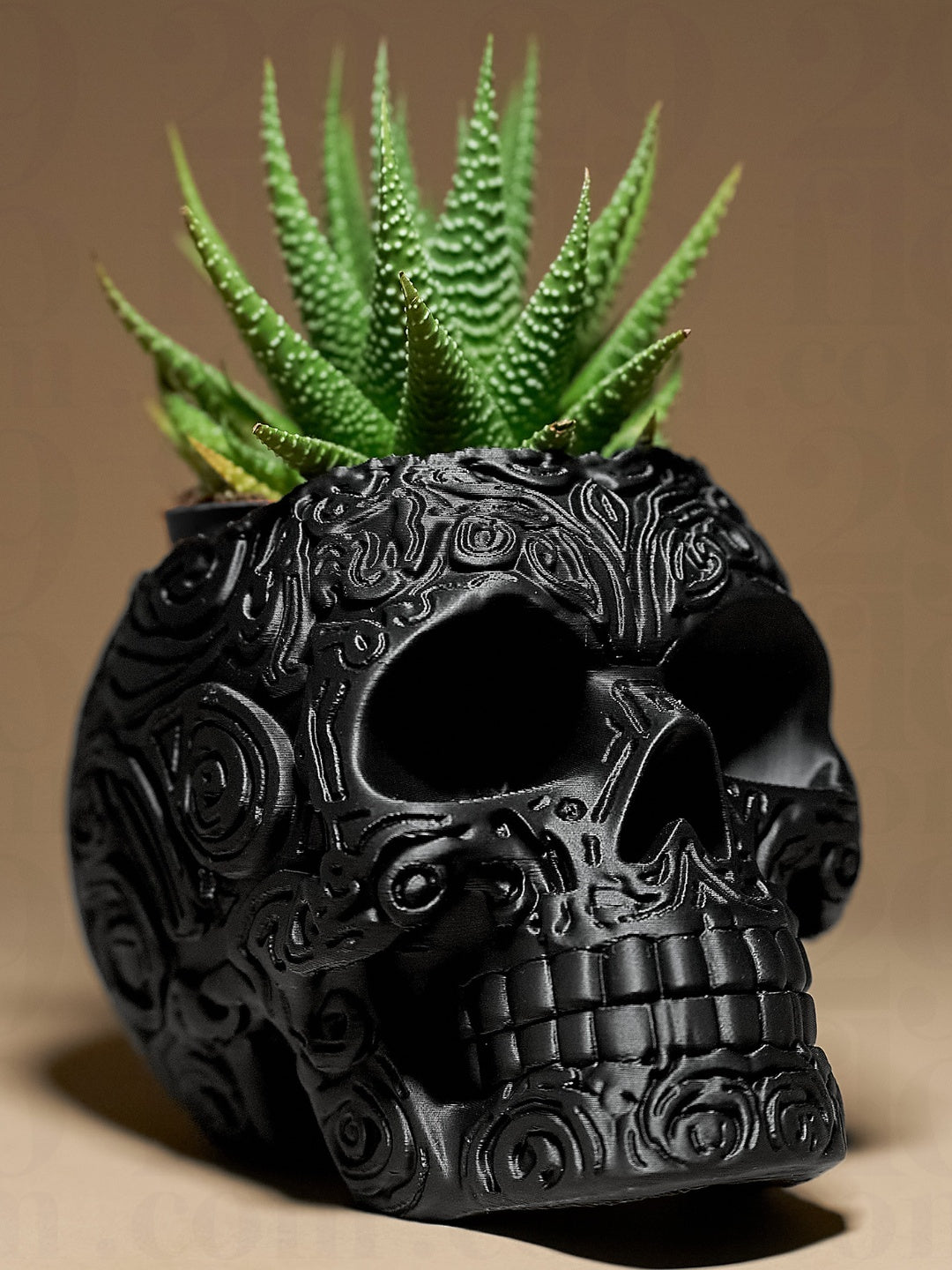 Black sculpted skull planter with raised swirling ornament and a small succulent