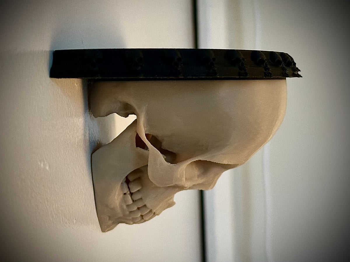 Front view of the pale skull wall shelf with black ledge