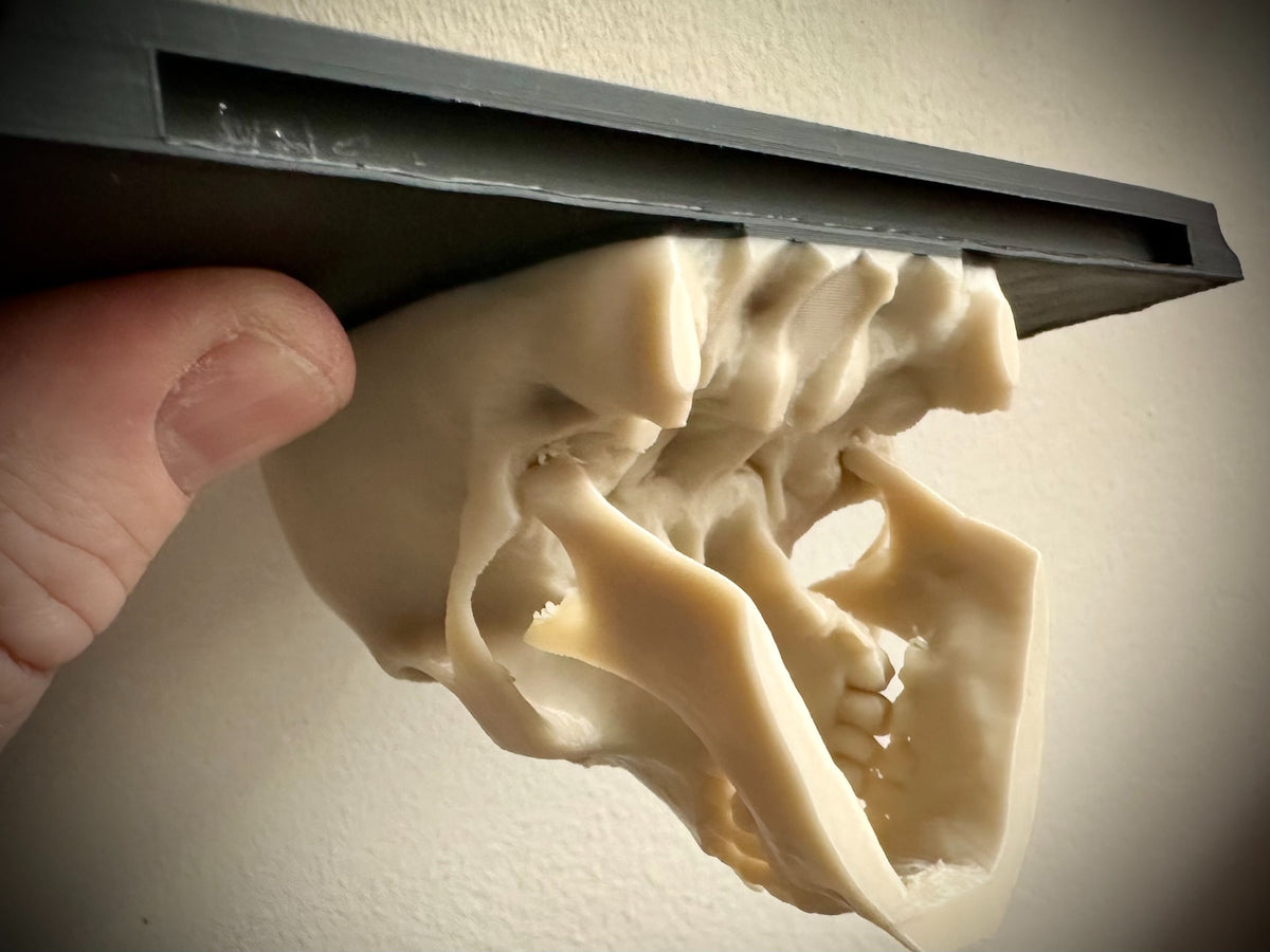 Underside view of the Skull Shelf