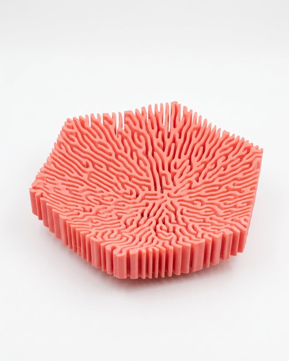 Hexagonal coral bowl on travertine plinth