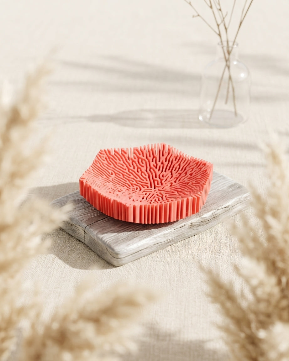 Hexagonal coral bowl top view held in hand