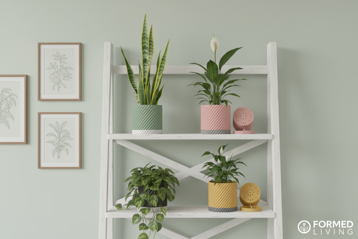 Twist Texture Self-Watering Planter three colours on shelving sage green pink yellow