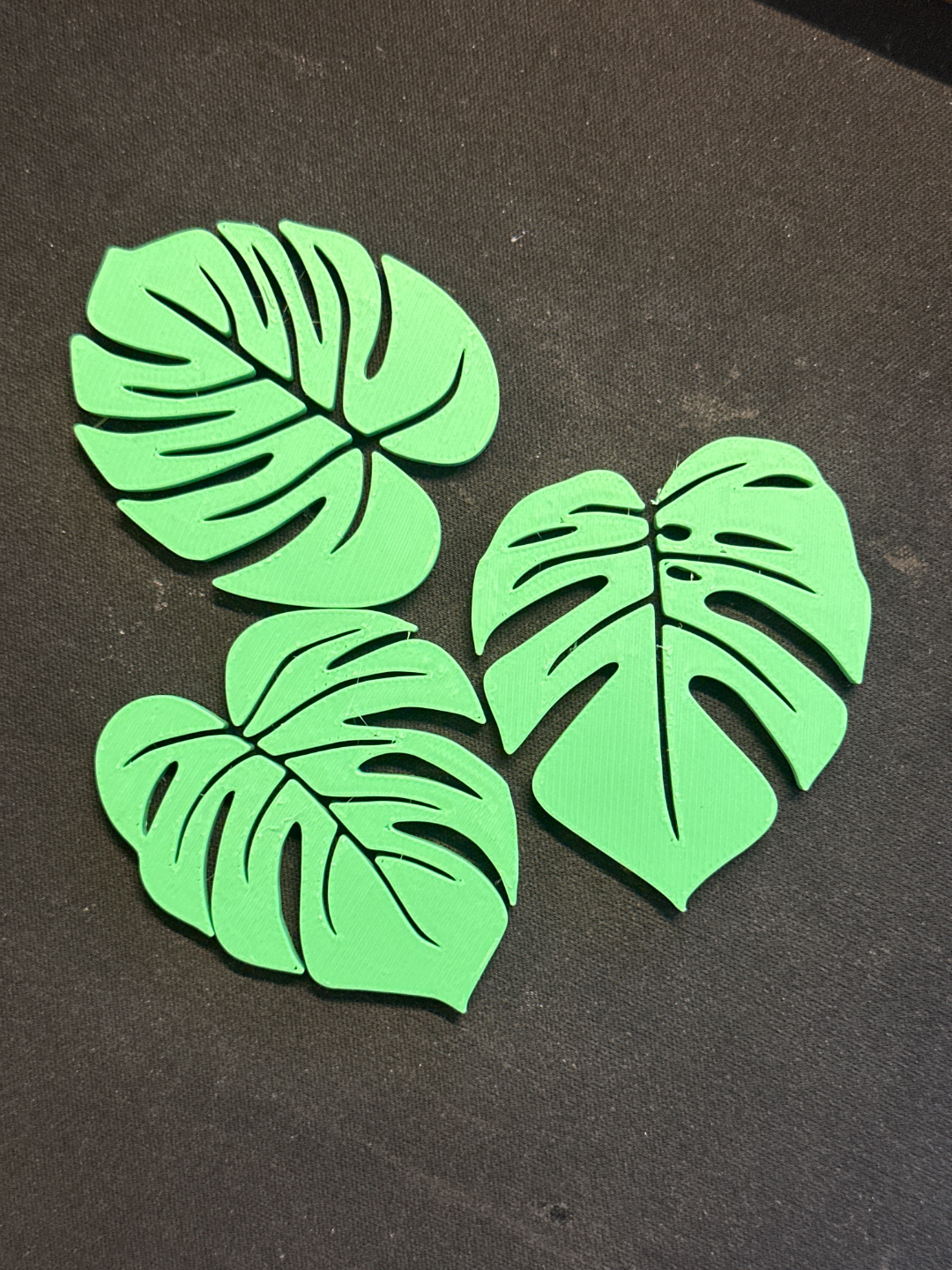 Sage green monstera leaf coasters arranged with a mug