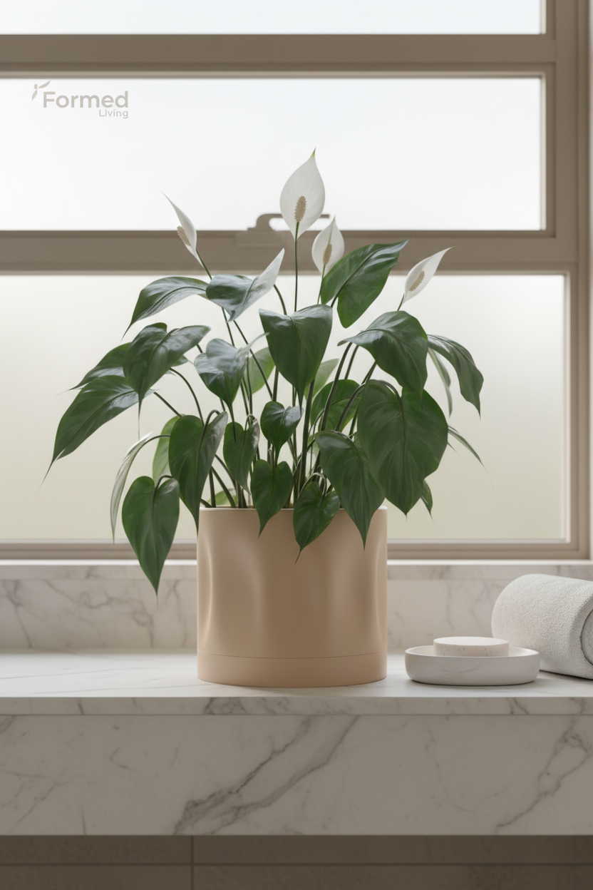 Modern Minimalist Planter